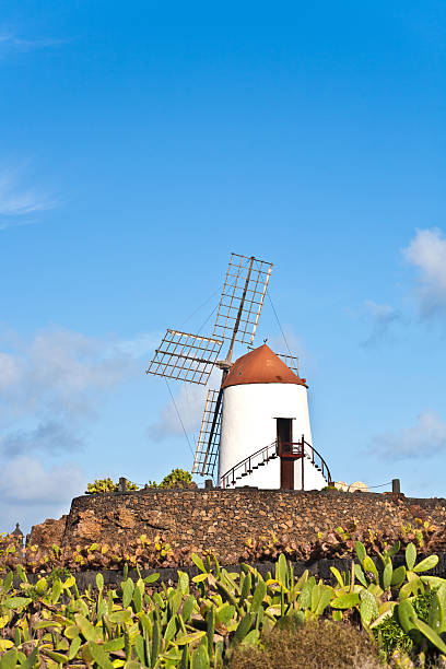 istock beautiful windmill in lanzarote 462138731