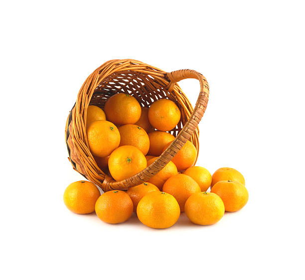 istock Strewed tangerines from wicker basket lays isolated 462140445