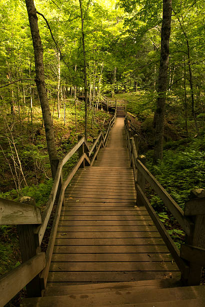 istock Boardwalk, Porcupine Mountains State Park 462140849