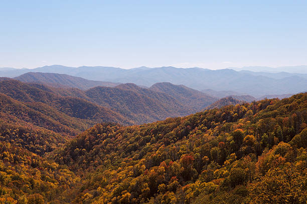 efeito smoky montanhas parque nacional - panoramic great appalachian valley the americas north america imagens e fotografias de stock