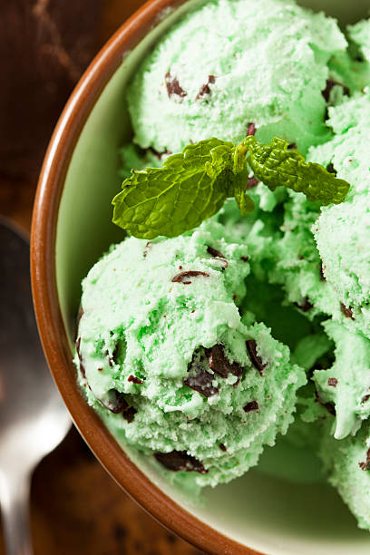 istock Organic Green Mint Chocolate Chip Ice Cream 462146851