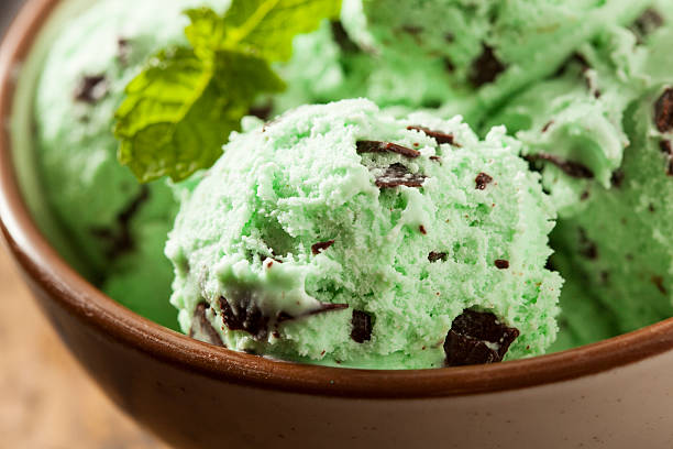 istock Organic Green Mint Chocolate Chip Ice Cream 462146891