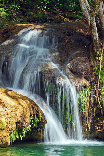 istock Waterfalls in Topes de Collantes, Cuba 462147137