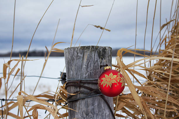 istock Red Christmas ornament on a fence post 462153307