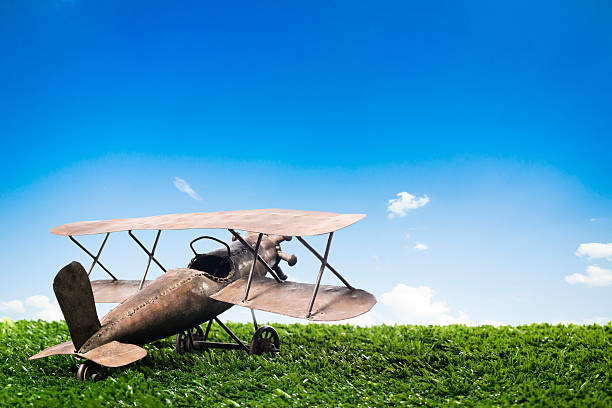 istock Toy Airplane over grass on a sunny day 462160153