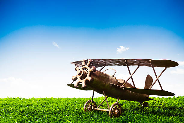 istock Toy Airplane over grass on a sunny day 462162983