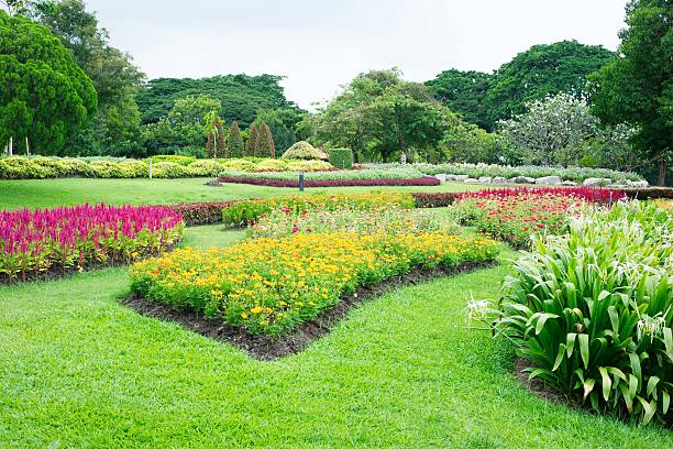 istock Parks Colourful Flowerbeds 462171487