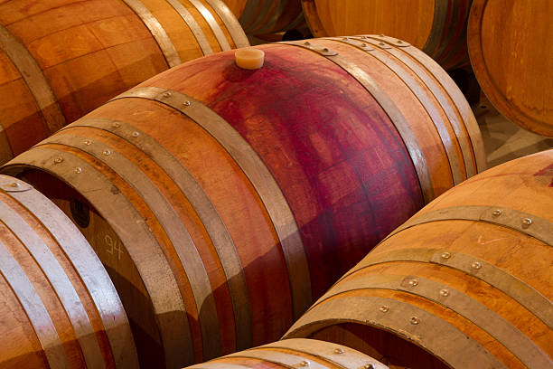 istock Oak wine barrels in a winery celar 462171537