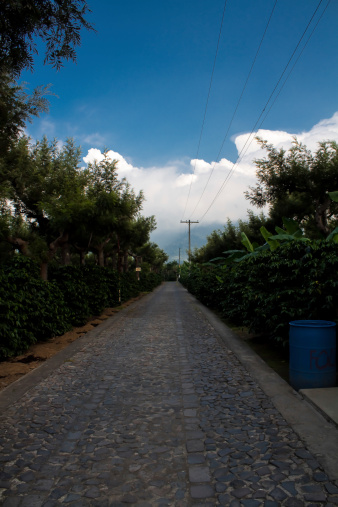 Stone road at coffee farm in Guatemala