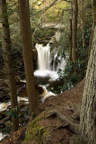 Photo of Upper Elakala Falls, Blackwater State Park