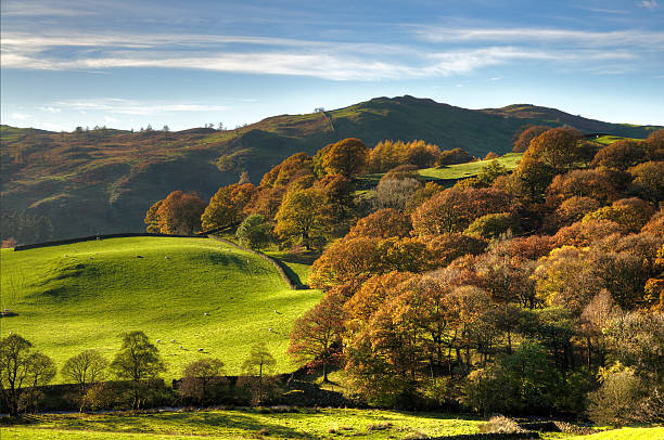 istock English rural scene with autumn colours 462183633