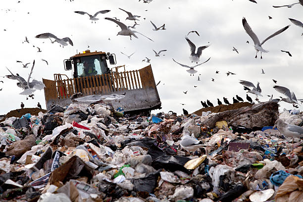 Disgusting heaping landfill crawling with birds stock photo