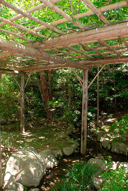 istock Japanese Garden Pergola 462189057