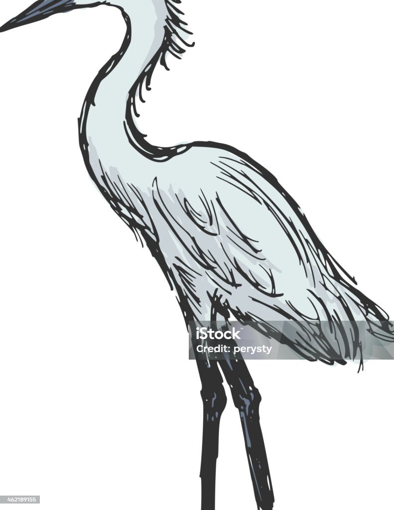 heron hand drawn, cartoon, sketch illustration of heron Drawing - Art Product stock vector