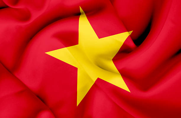 istock Vietnam waving flag 462198095