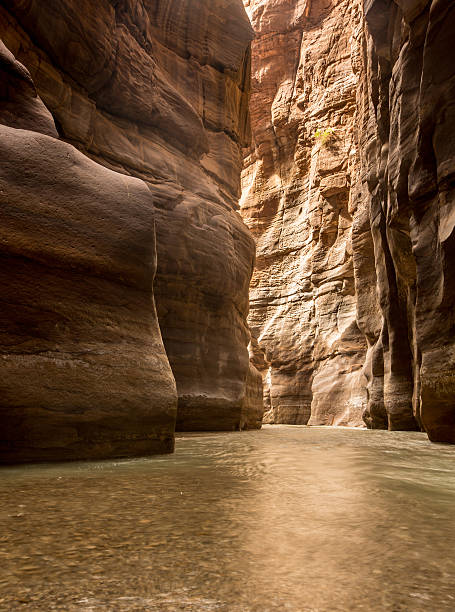 istock Vertical picture of River Canyon at Wadi Mujib 462199217