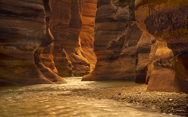River Canyon in Wadi Mujib, Jordan River canyon of Wadi Mujib in amazing golden light colors. Wadi Mujib is located in area of Dead Sea in Jordan grand canyon of yellowstone river stock pictures, royalty-free photos & images