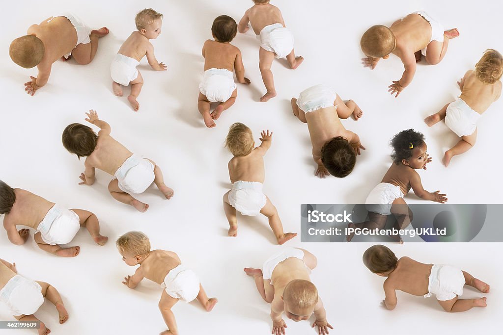 Bebés gatear sobre fondo blanco - Foto de stock de Bebé libre de derechos
