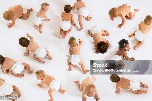 Bebés Gatear Sobre Fondo Blanco Foto de stock y más banco de imágenes de Bebé - Bebé, Gatear, Pañal