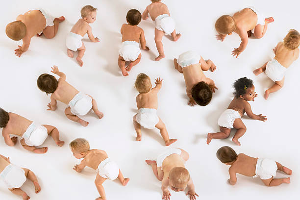 Diversity of babies crawling around in diapers Group of multiethnic babies crawling isolated on white background babyhood stock pictures, royalty-free photos & images