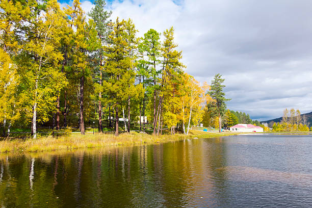 istock Colorful autumn landscape.Nature background 462203399