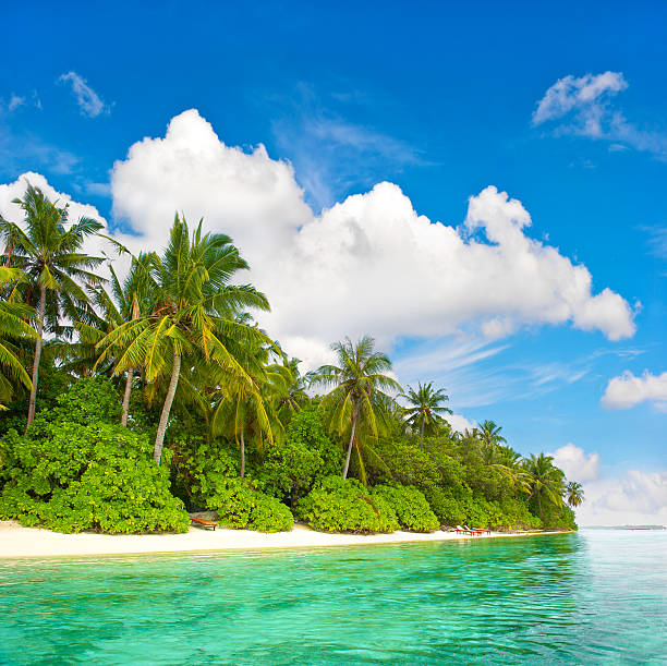 istock landscape of tropical island beach 462205445