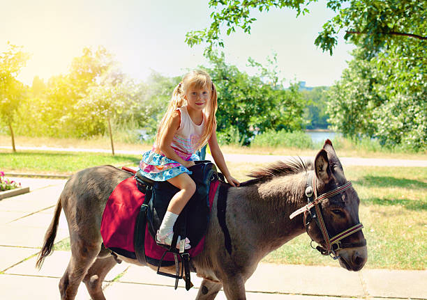 istock Little girl riding on a donkey 462207125