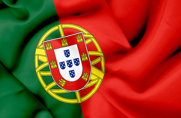 istock Portugal waving flag 462207769