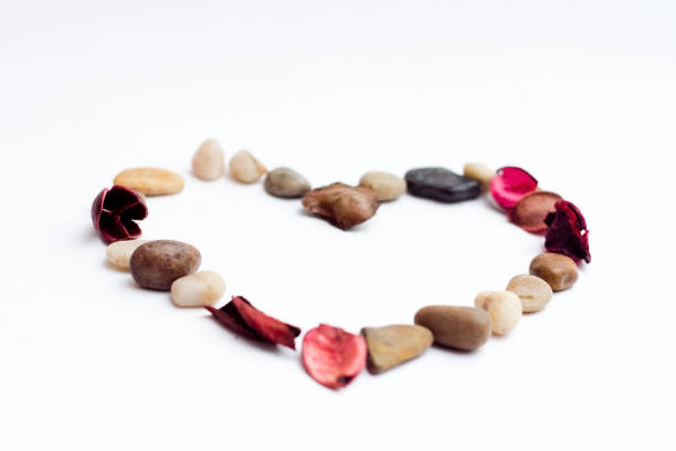 heart isolated