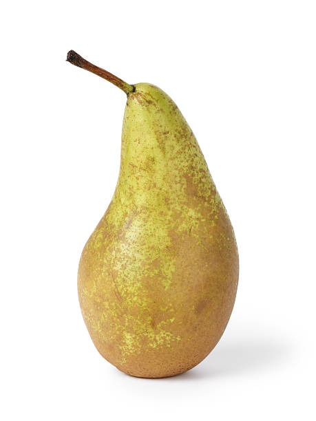 one conference pear one conference pear, vertical on white background conference pear stock pictures, royalty-free photos & images