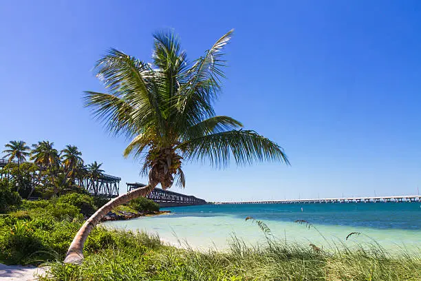 Landscape at Bahia Honda Beach, Florida Keys, USA
