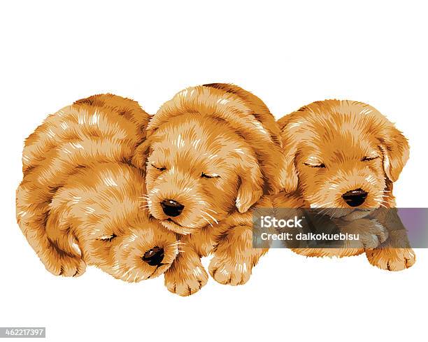 Lovely Dog Stock Illustration - Download Image Now - Golden Retriever, Puppy, Animal