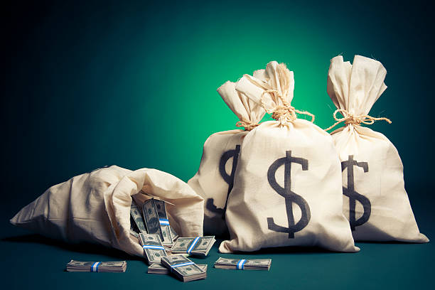 Bags full of money on a green background stock photo