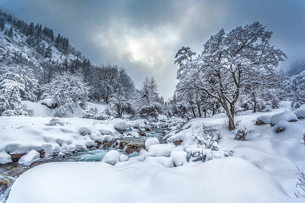 inverno paisagem com rio de montanha - north tirol fotos - fotografias e filmes do acervo