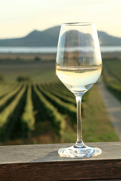 istock Glass of White Wine 462224445