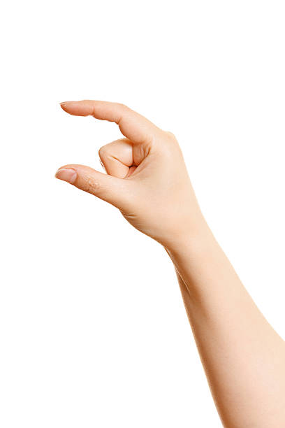 istock Woman hand holding something on a white 462226615