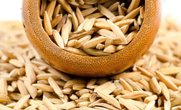 Bamboo Rice Rate 100+ Bamboo Growth Rate Stock Photos, Pictures & Royalty-Free Images ...