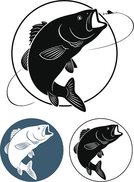 ilustraciones, imágenes clip art, dibujos animados e iconos de stock de peces bass - rockfish