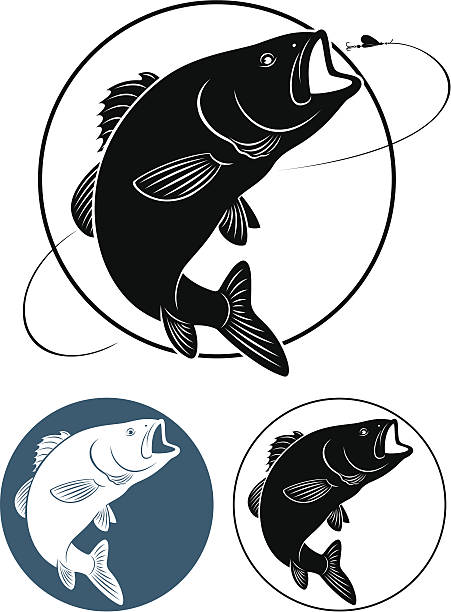 fish bass the figure shows fish bass fish silhouettes stock illustrations