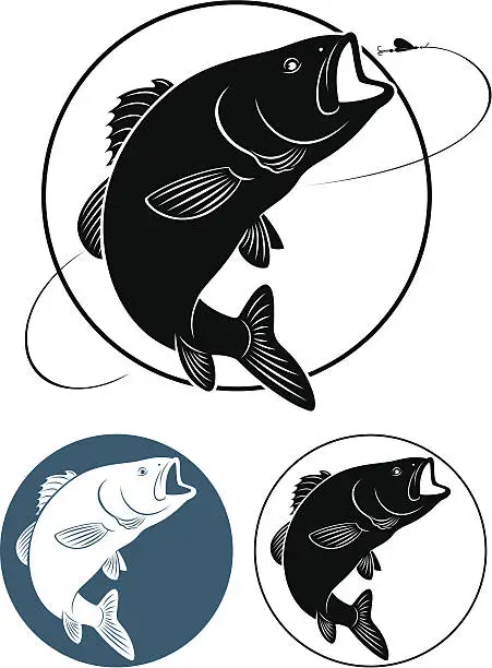 Vector illustration of fish bass