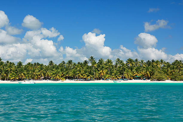 istock Palms coastline on caribbean sea 462236219