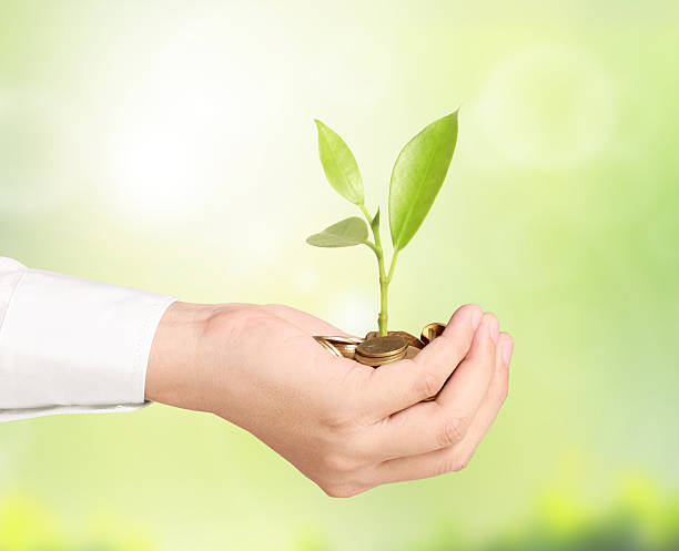 istock Businessman holding plant sprouting from  handful of coins 462237101