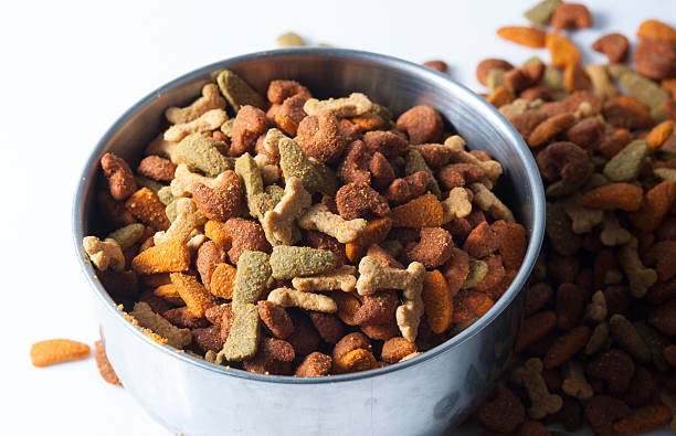 istock Silver bowl full and dog food 462237223