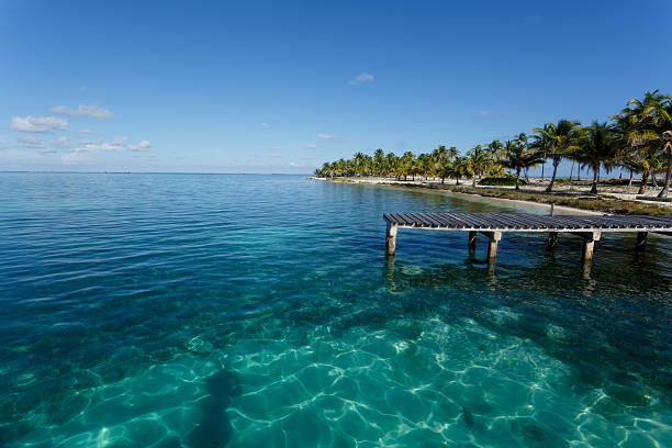 istock Dock on tropical island resort and turquoise waters 462239383