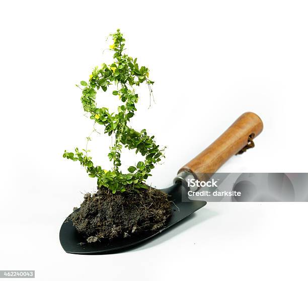 Plant Dollar Stock Photo - Download Image Now - Activity, Branch - Plant Part, Business