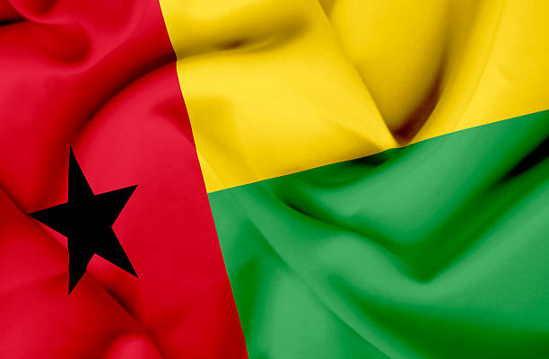 istock Guinea Bissau waving flag 462240211