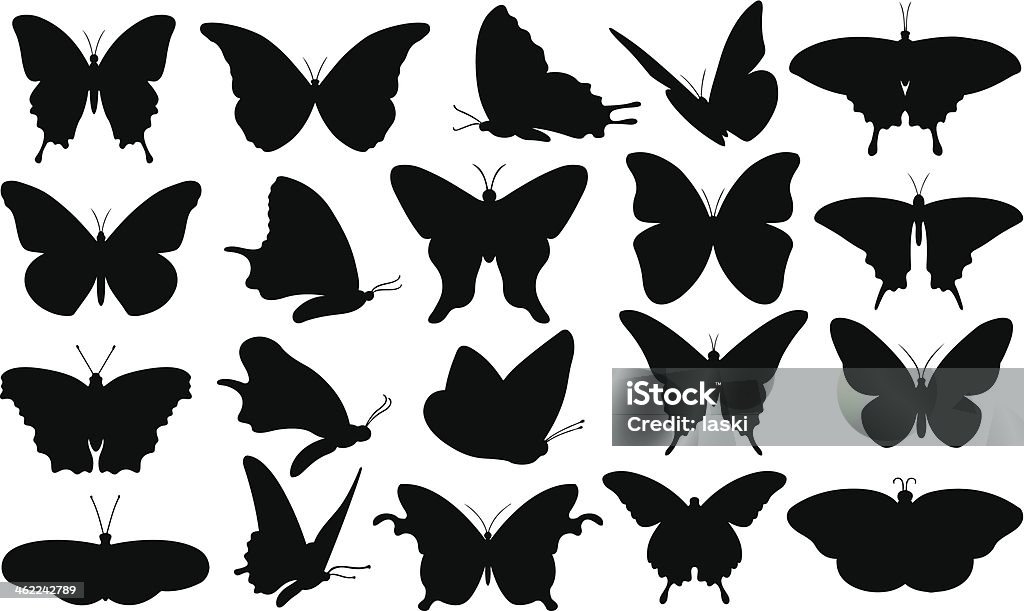 butterfly set of different butterflies isolated Butterfly - Insect stock vector