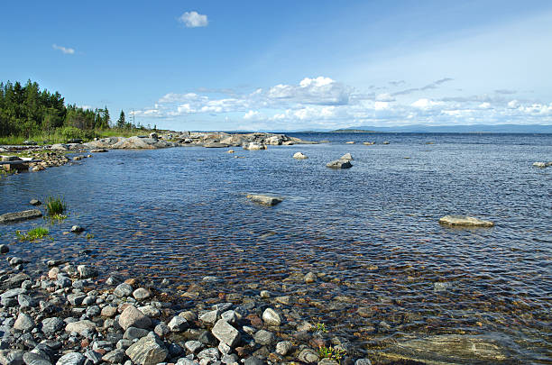 istock On the beach of  White sea 462243747