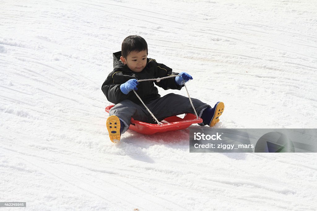 Niño japonesa en un trineo - Foto de stock de Nieve libre de derechos