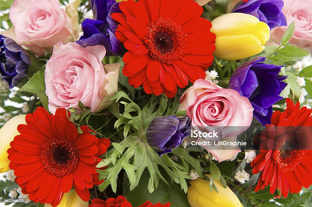 closeup of colorful spring flowers closeup of colorful spring flowers bouquet. pink roses, red gerbera, yellow tulips, blue anemone Anemone Flower Stock Photo